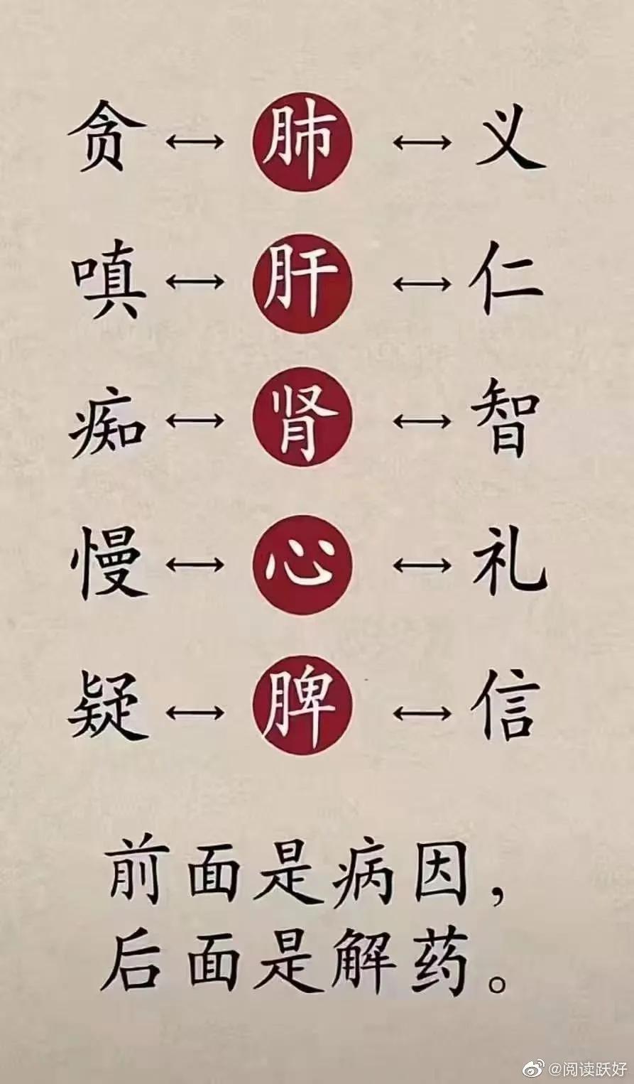 多关心自己五脏六腑,一个人的五脏六腑