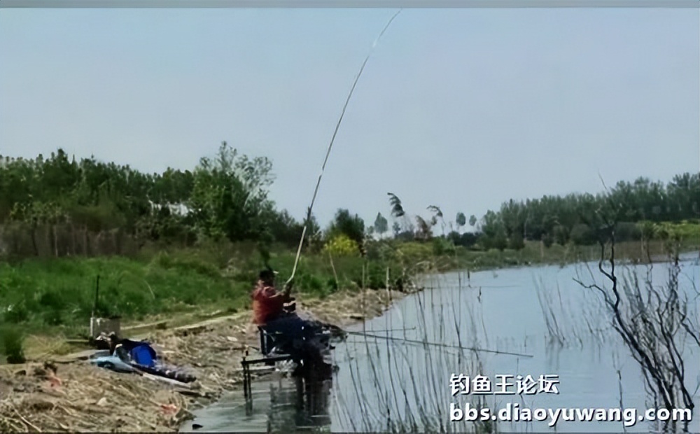 天气变冷怎么钓板鲫,温度升高钓鲢鳙