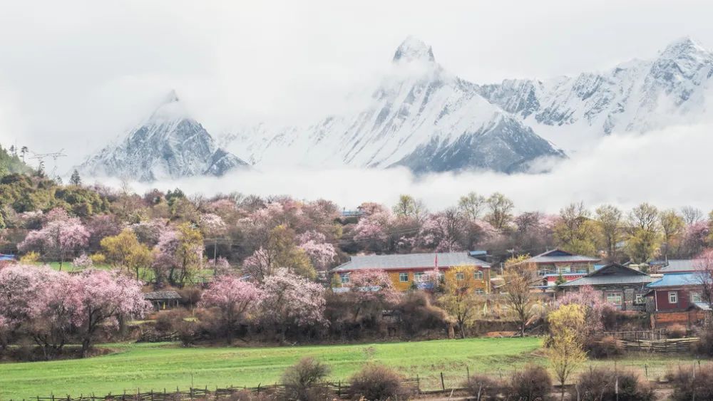 龙泉山看桃花徒步最佳路线,徒步穿越十里桃花漫山遍野