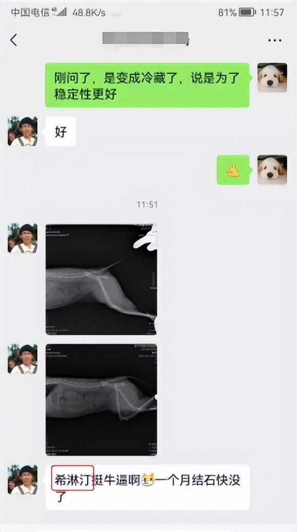 中医如何治疗猫咪尿路结石,猫狗肾结石