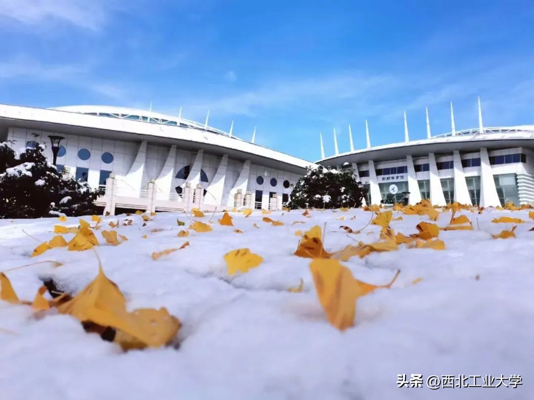 今日雨水!工大四季高清美图，欢迎欣赏使用~