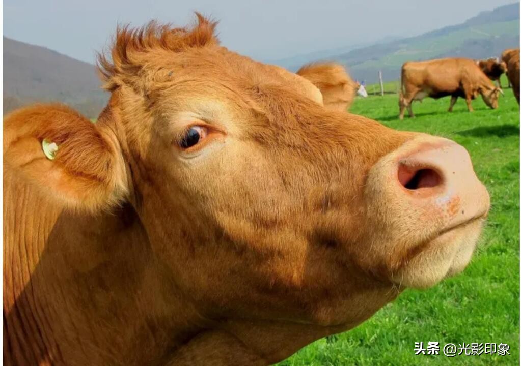 世界最早的国家公园——美国的黄石公园