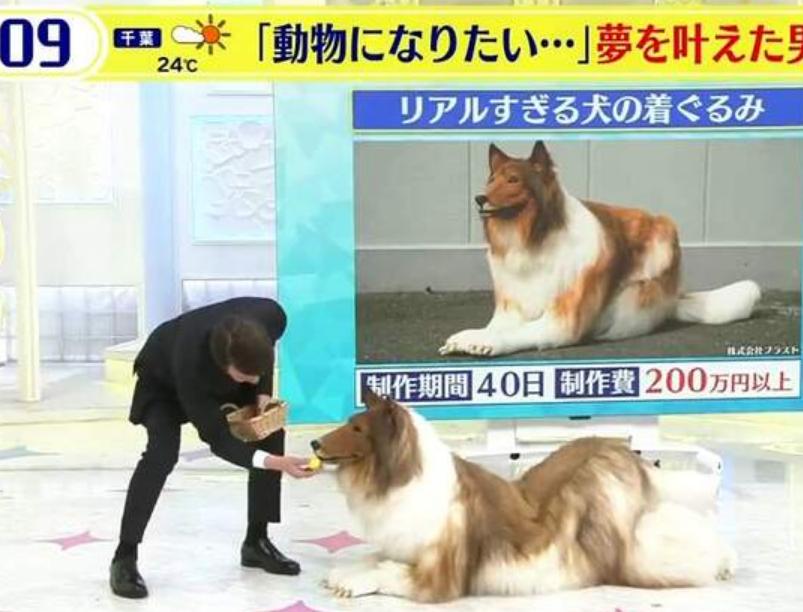 日本男子把自己变成狗对比图,日本一男子厌倦生活花200万变成狗