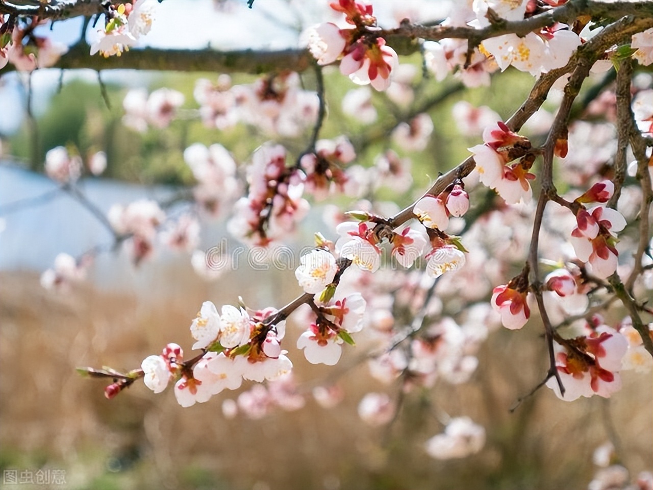 西游记里的妖魔鬼怪有多少个,西游记里的妖魔鬼怪