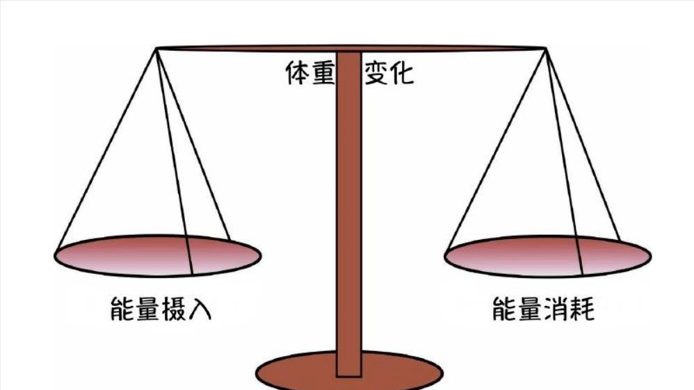 揭秘减重密码（一）了解肥胖及减重原理，健康减重事半功倍。