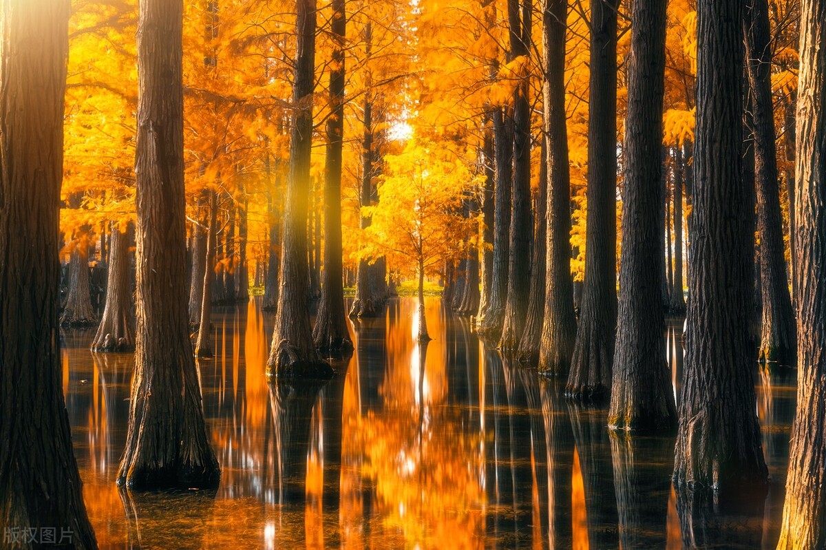 上海游玩免费景点推荐,上海推荐逛的免费景点