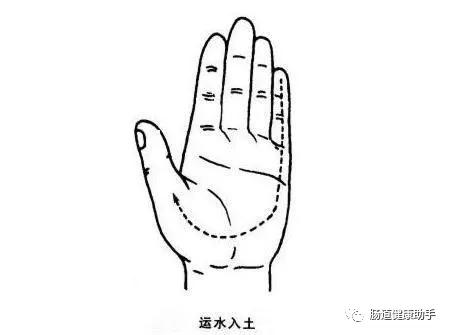 便秘不花钱的小妙招,便秘不用药通便有妙招