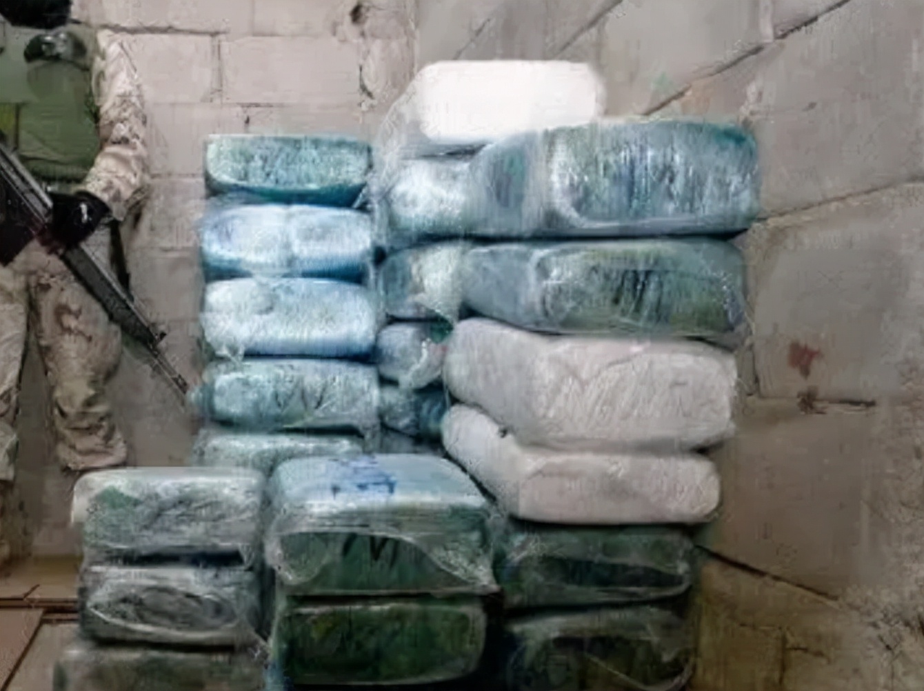 毒王叶真理有多少钱,世界毒王叶真理有多厉害