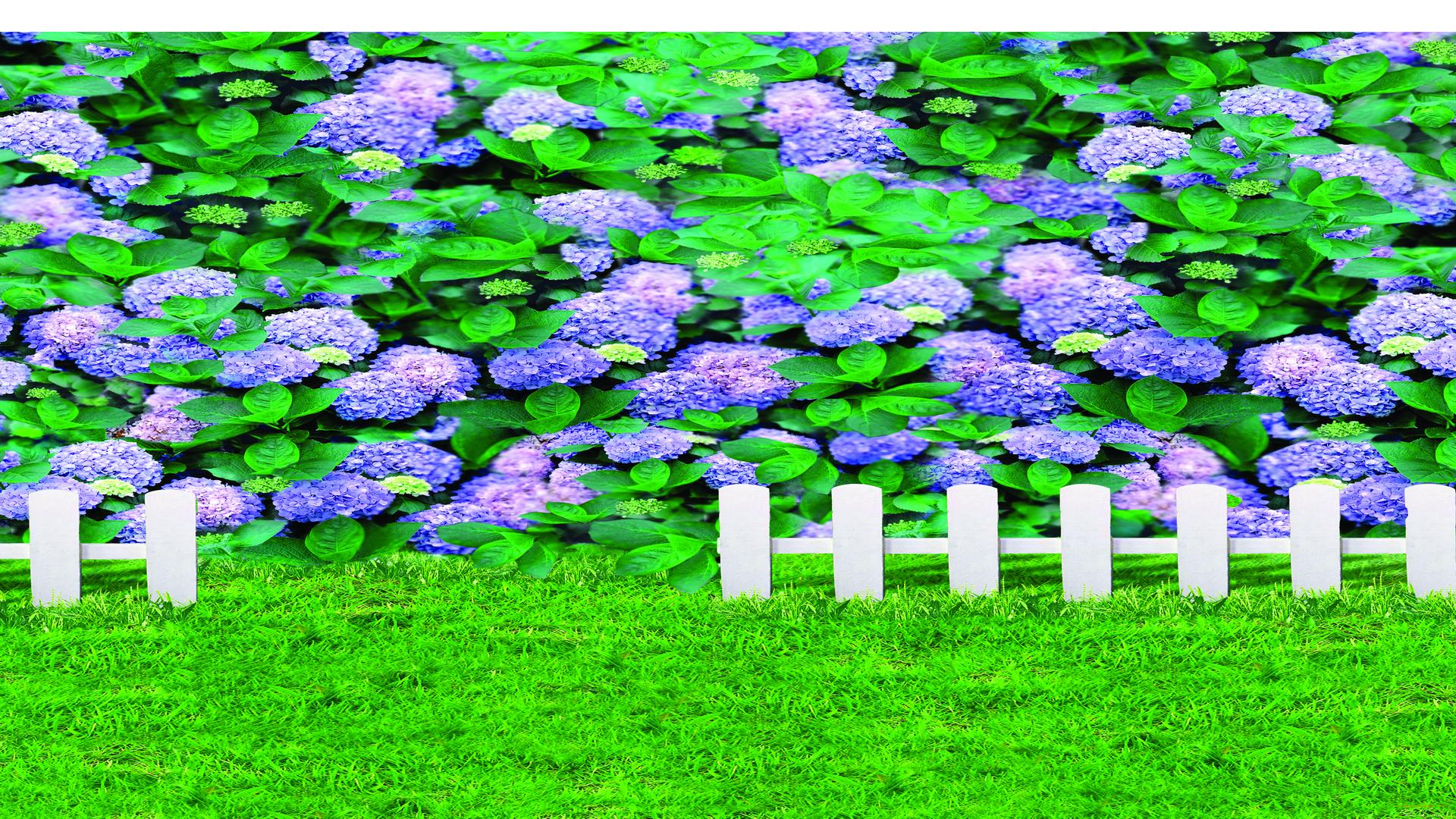 小学生写作文应该读散文书吗,初中生怎样从散文中学习写作