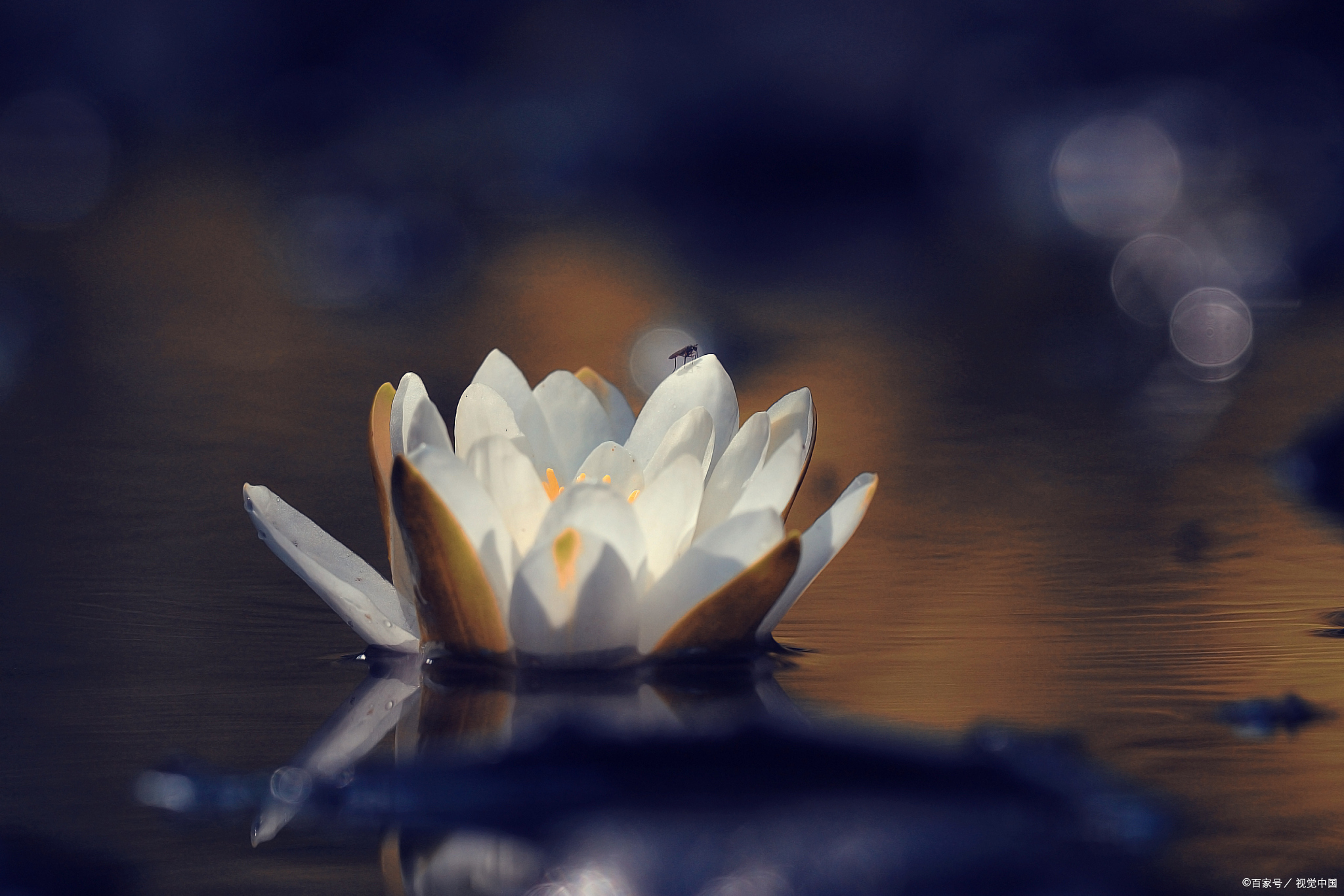 算八字要多少钱合理,请人看个八字大概多少钱