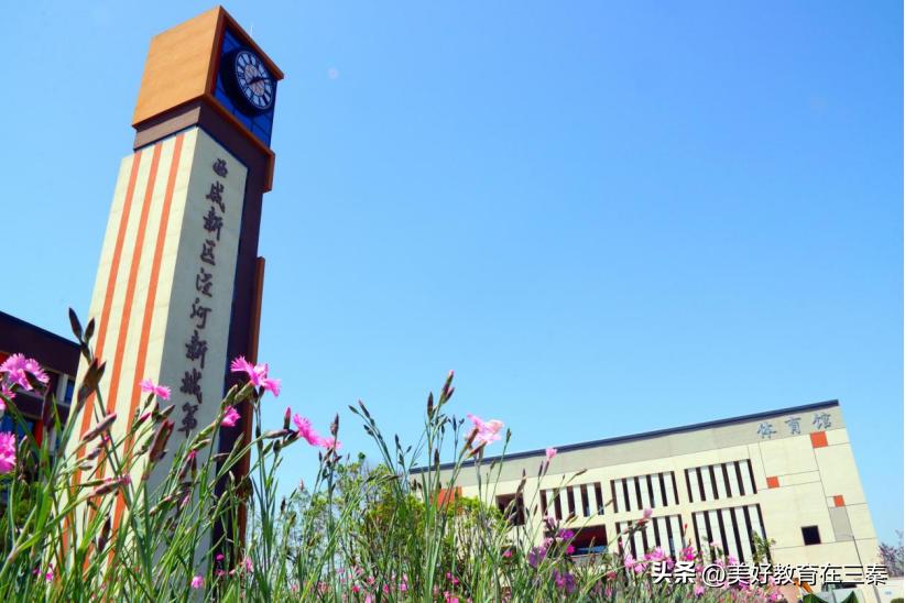 咸阳西咸新区学校排名,西安市西咸新区第一学校