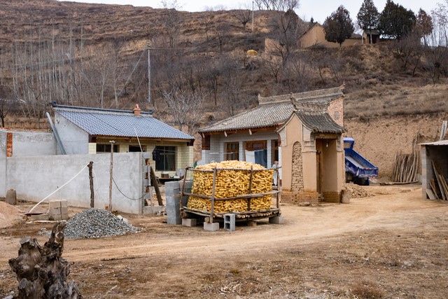 农村创业适合做什么养殖,创业能做什么种植养殖