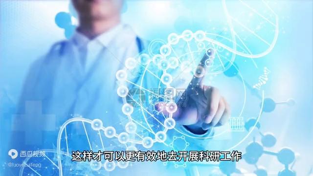 输入输出的原理是什么,科学研究中的数据