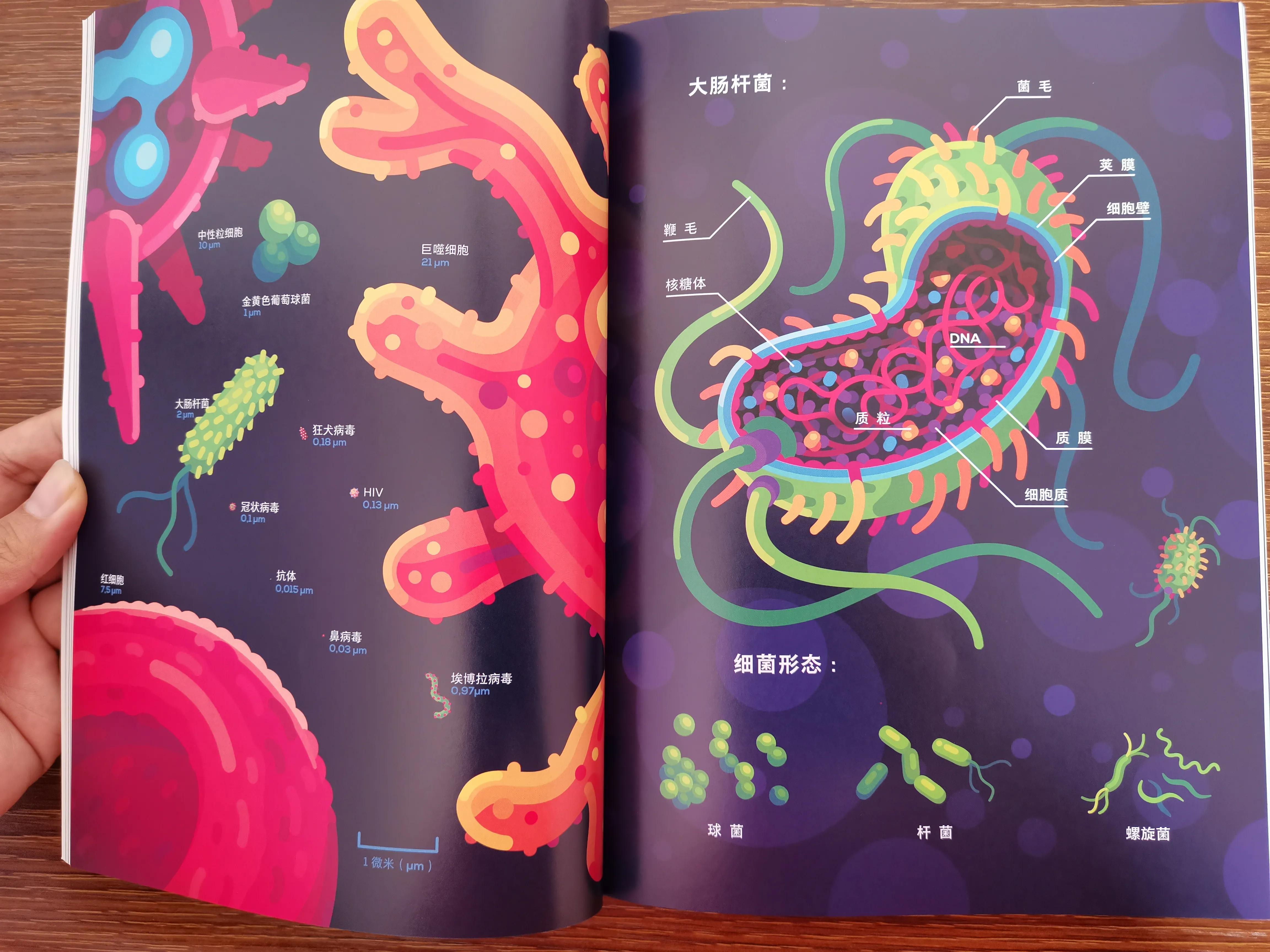 细胞的奇妙旅行,人体细胞之旅纪录片