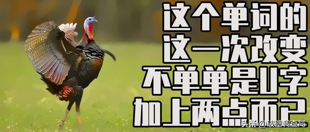 埃苏丹简介,埃苏丹土耳其