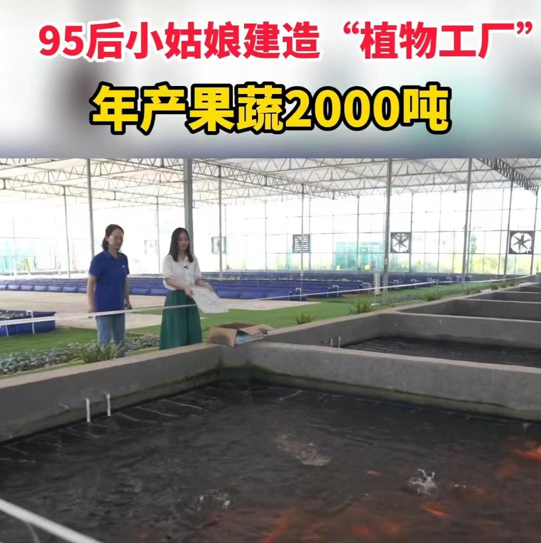 95后姑娘建占地43亩“植物工厂”，1亩发挥5亩效益，年产20000吨