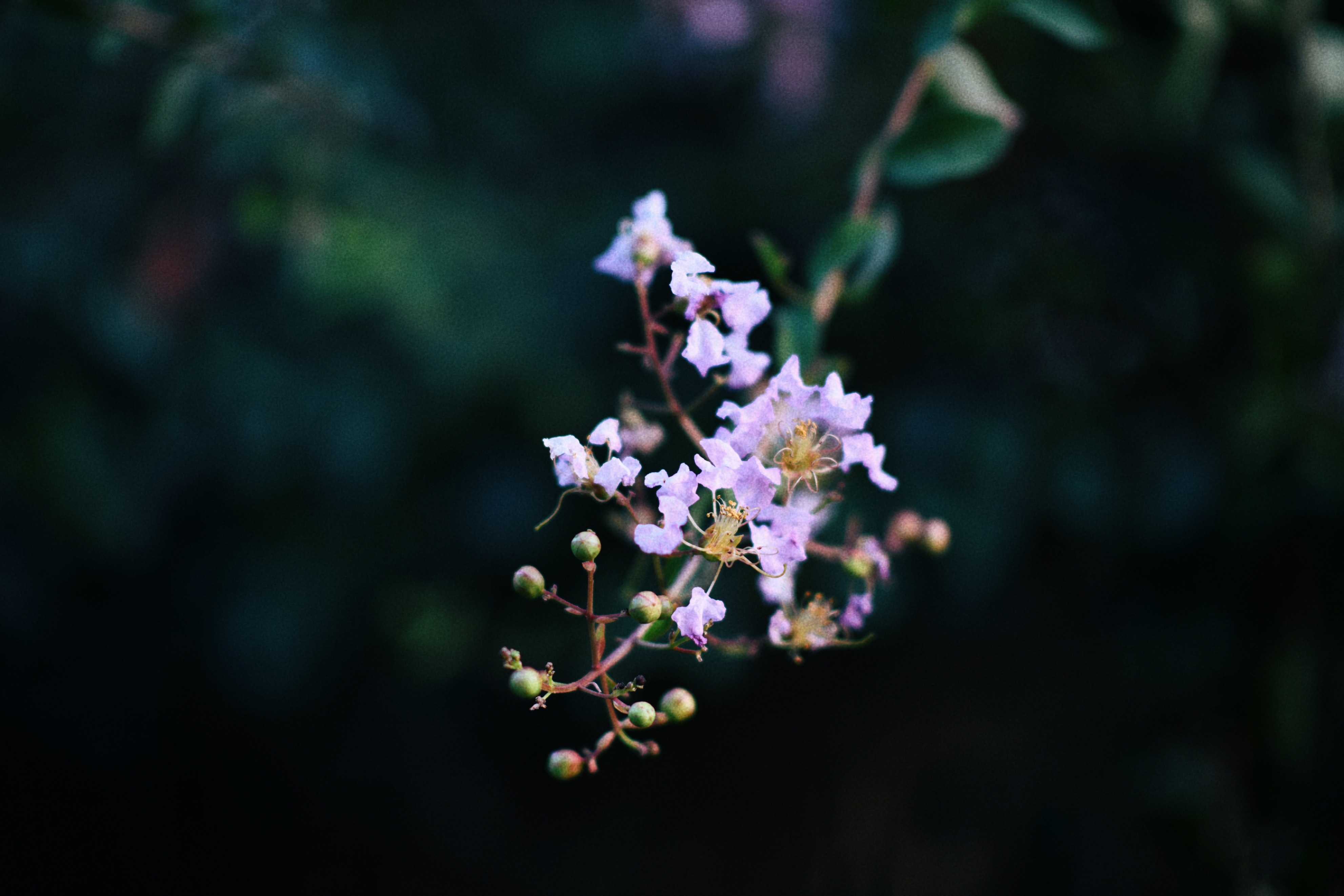 界石见山空谷民宿,巴南界石世外桃源