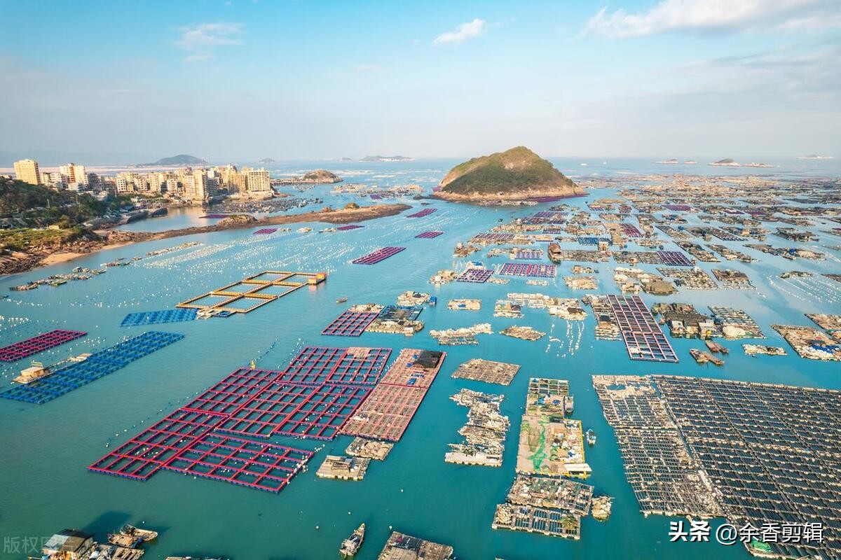 活鲍鱼死了该怎么处理,怎样处理鲍鱼才干净