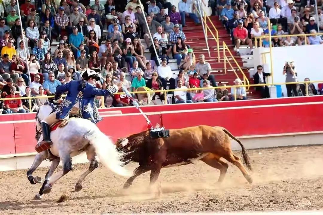葡萄牙冷知识100例,葡萄牙首都里约热内卢