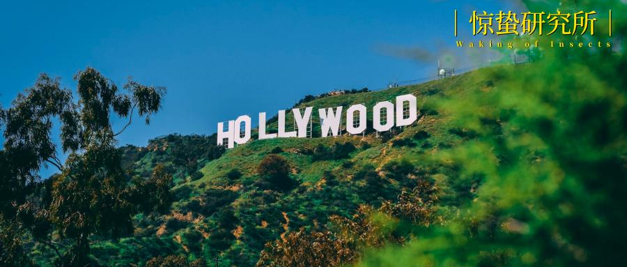 系列电影排行榜,系列电影呈现完整世界