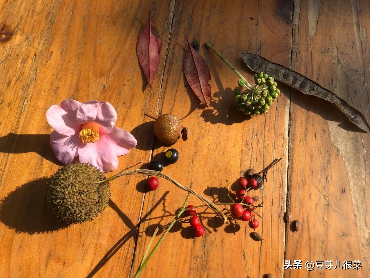 火车票购票身高标准,购买火车票不知道车站在哪