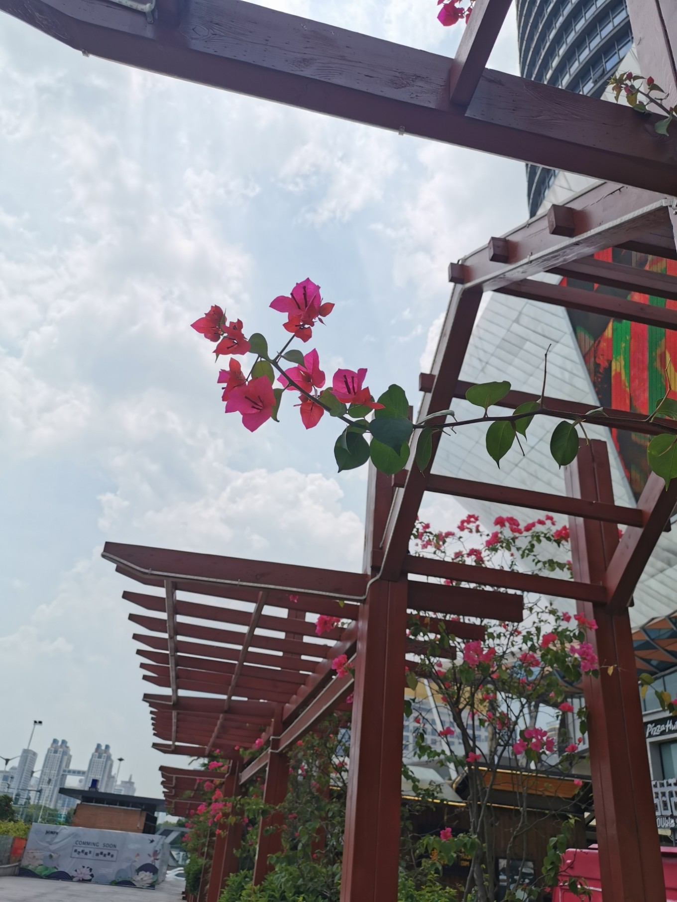 北海是一座令人向往的城市吗,北海是浪漫的城市