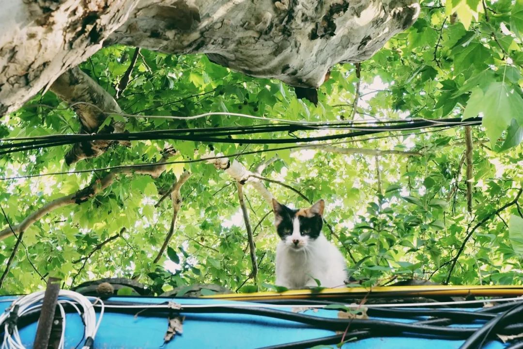 浙江这座城,永远OK
