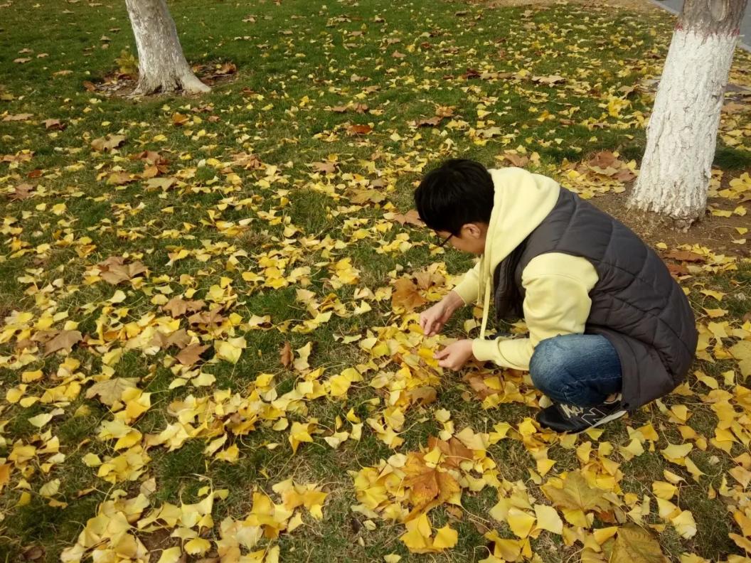 央媒评高校助学金事件,央媒谈高校助学金事件时评