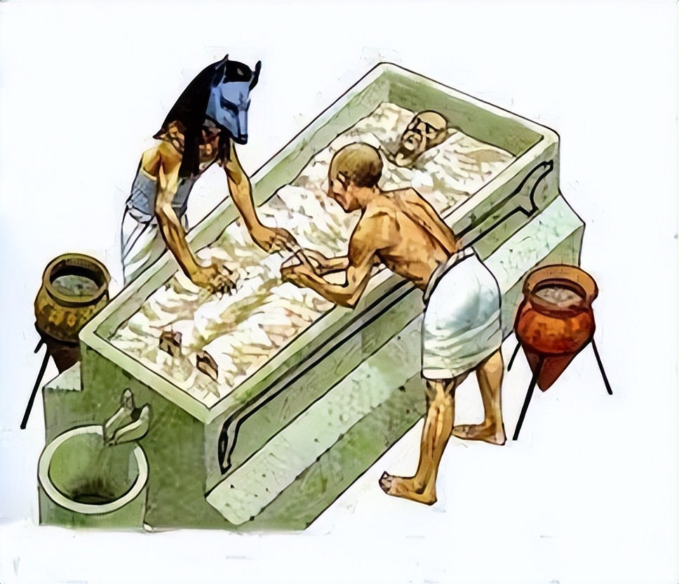 从考古学的发现看世界古代文明,有关古埃及的医学资料