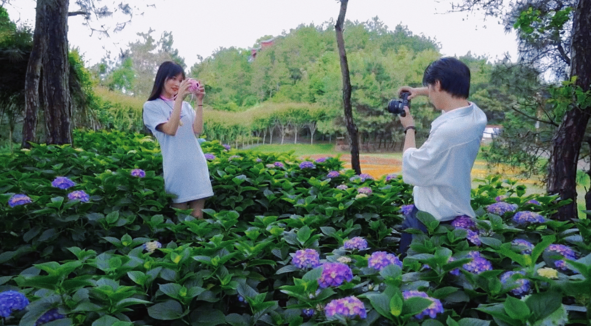 湖北毕业旅行,最适合毕业旅游的旅游景点