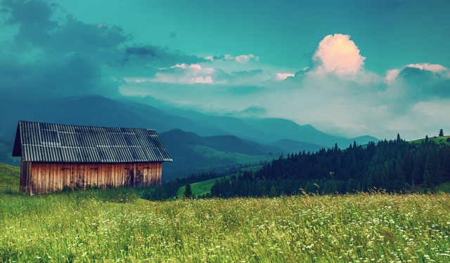 落魄了连老婆都看不起,人落魄了为什么连老婆都看不起