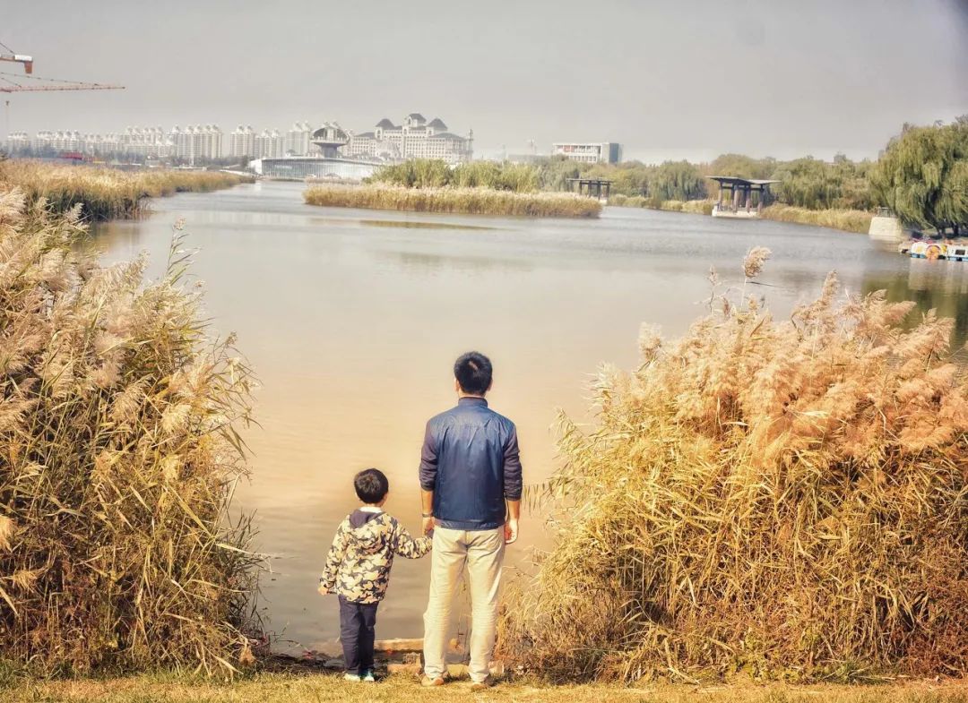 初二儿子放纵成瘾,父亲曝光12年挽救史