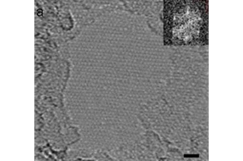 新型石墨烯材料的制备,石墨烯材料有多硬