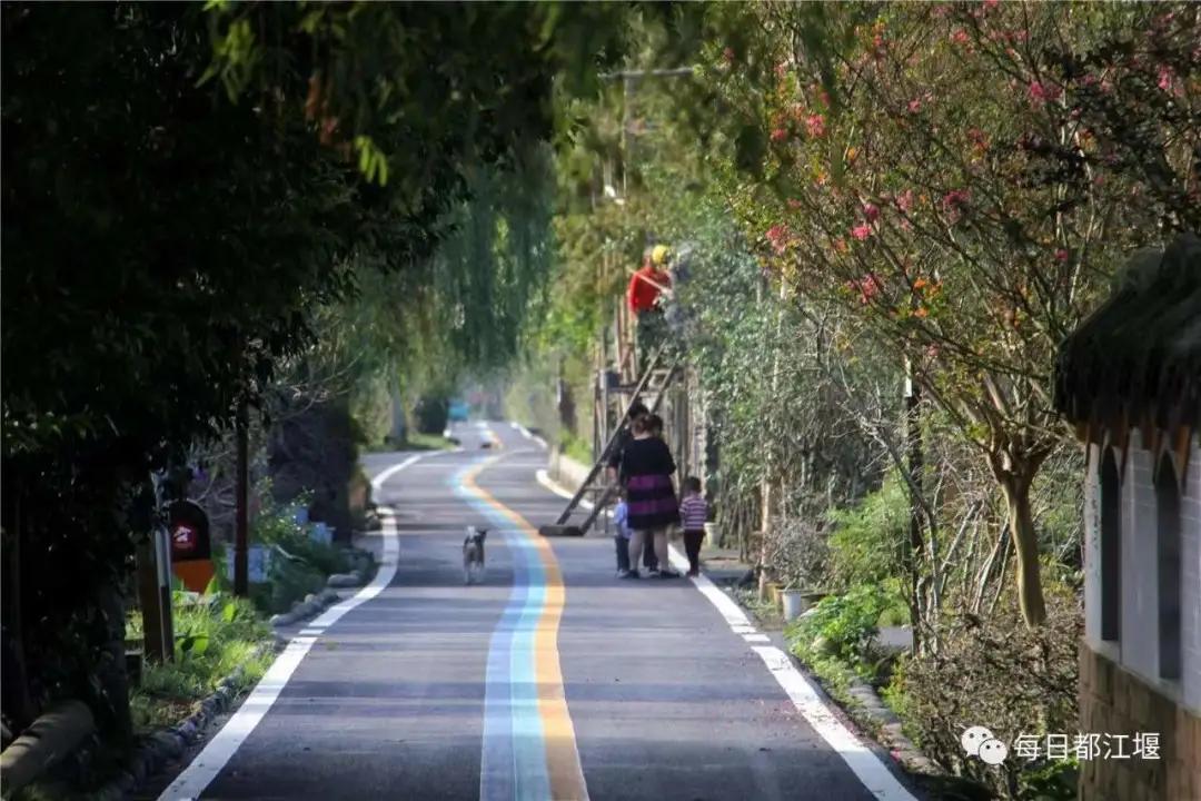 青城山镇：奋楫笃行，臻于至善，深耕青山热土！