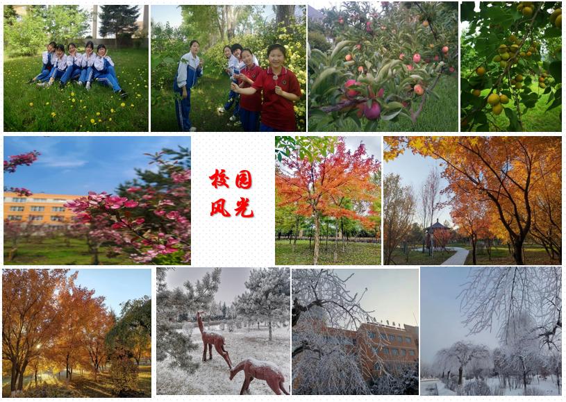 长春市第二实验中学2024年招生,长春市中考二类学校排名