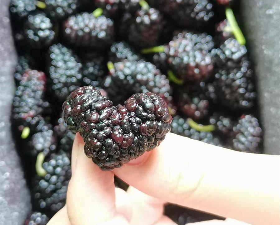 夏天两类应季水果寄生虫多,这些水果中的寄生虫一定不能忽略