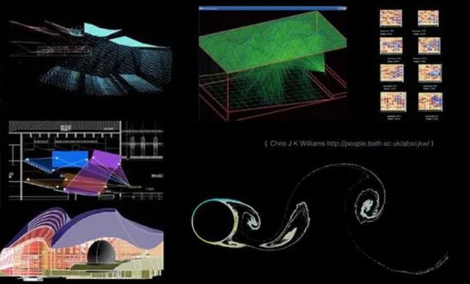 海豚自带超声波导航