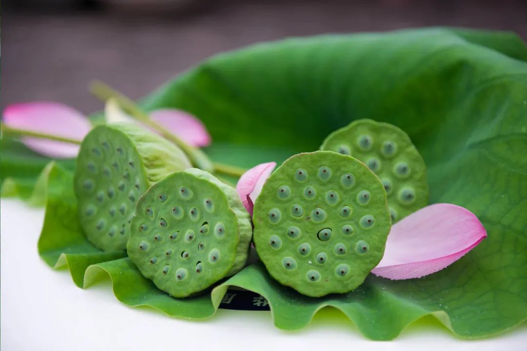 描写莲子长参的诗词,形容莲子好吃的诗句