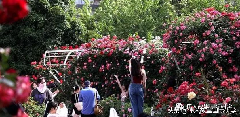 五一长沙哪些景区免费,五一长沙适合游玩一天的地方