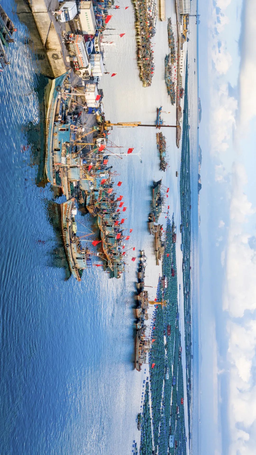 一到夏天，烟台就成了人们心心念念的消暑天堂！