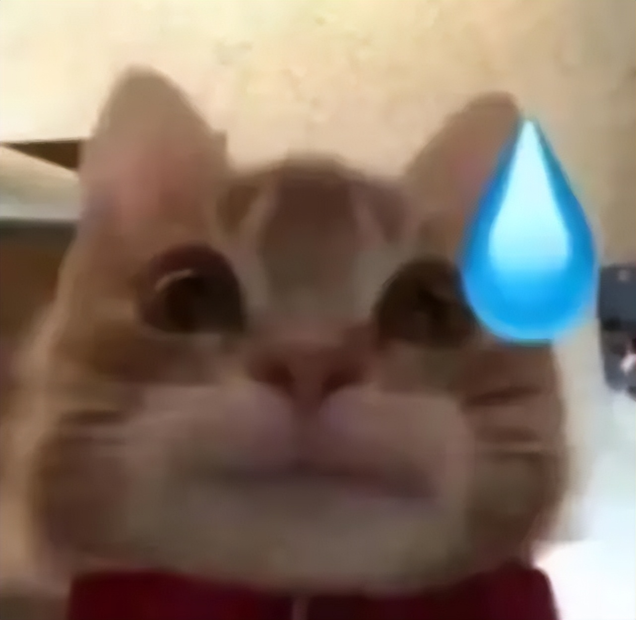 送男朋友巴黎世家哪款鞋子,巴黎世家哪款鞋送男友