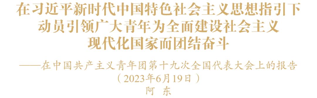 共产主义青年团全国代表大会报告,青年团第十九次全国代表大会内容