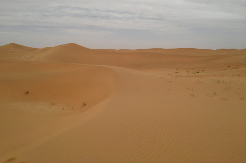 宁夏银川旅游攻略美食,宁夏银川旅游攻略