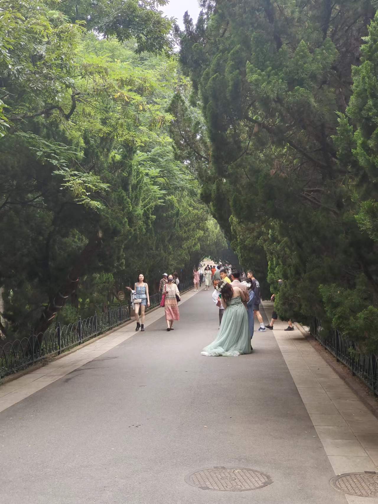 青岛今天到底有多冷,青岛今天的天气真热图片