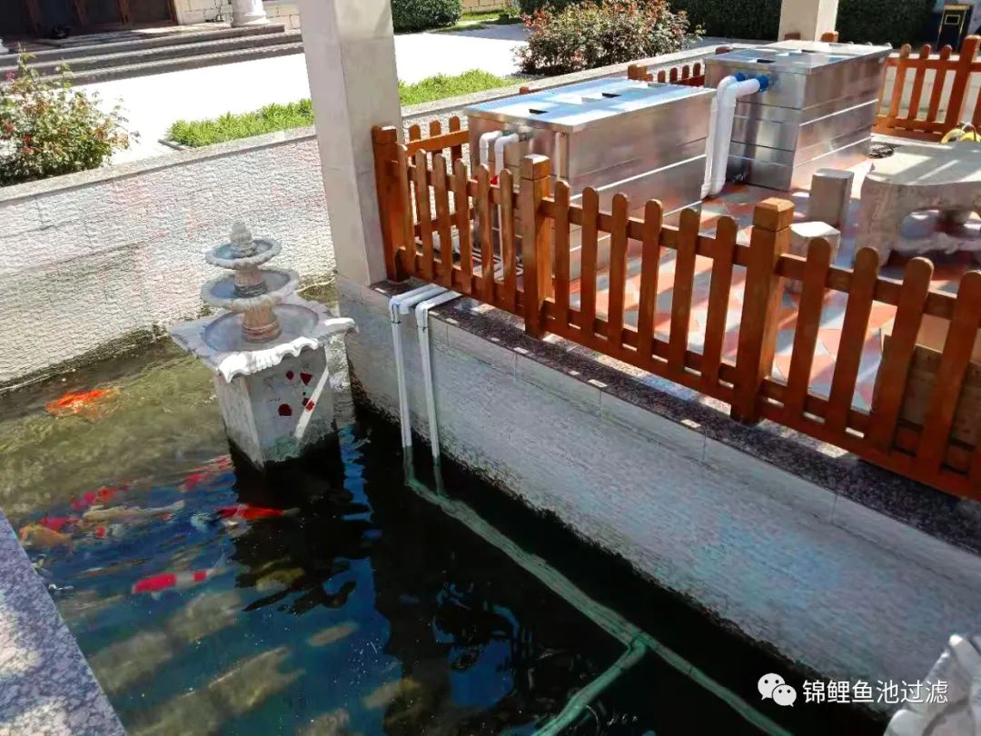 水色宜居的利弊,水色和水质是什么意思