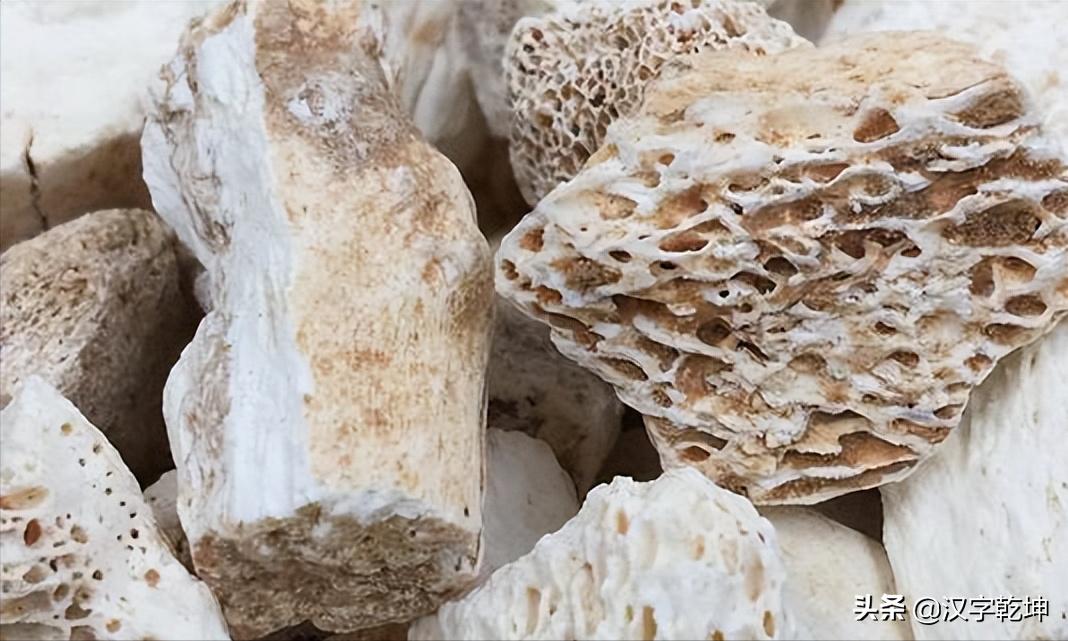 龙骨甲骨文,从龙骨中发现甲骨文