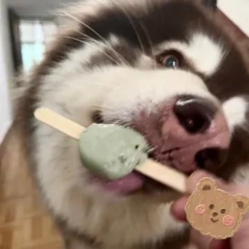 沙子孵化乌龟蛋,乌龟蛋如何孵化方舟