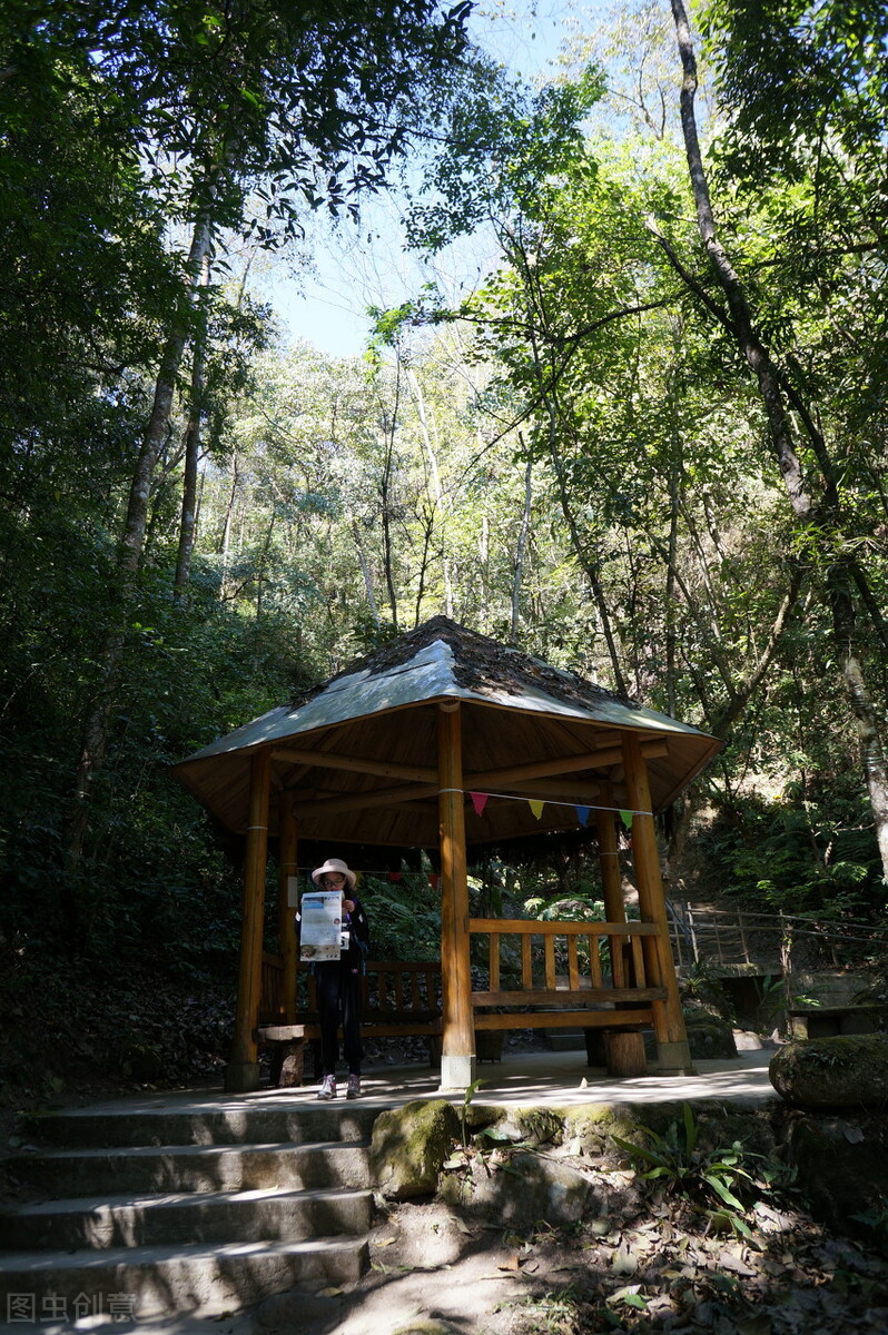 腾冲樱花谷，野生樱花遍布，落英缤纷、原始自然的花花世界