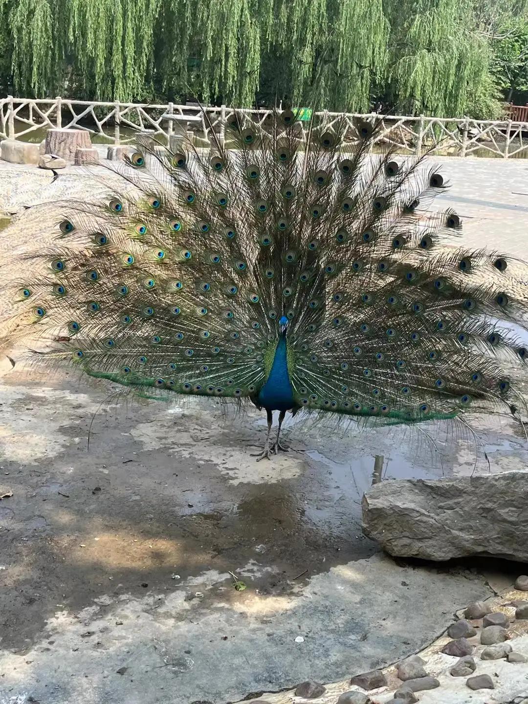 想做生意一定要注意些什么,想做小生意的都来看看