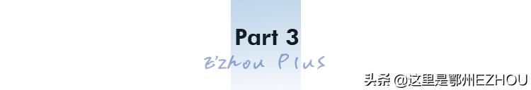 湖北鄂州油菜“吸睛”又“吸金”,北京中关村落户武汉